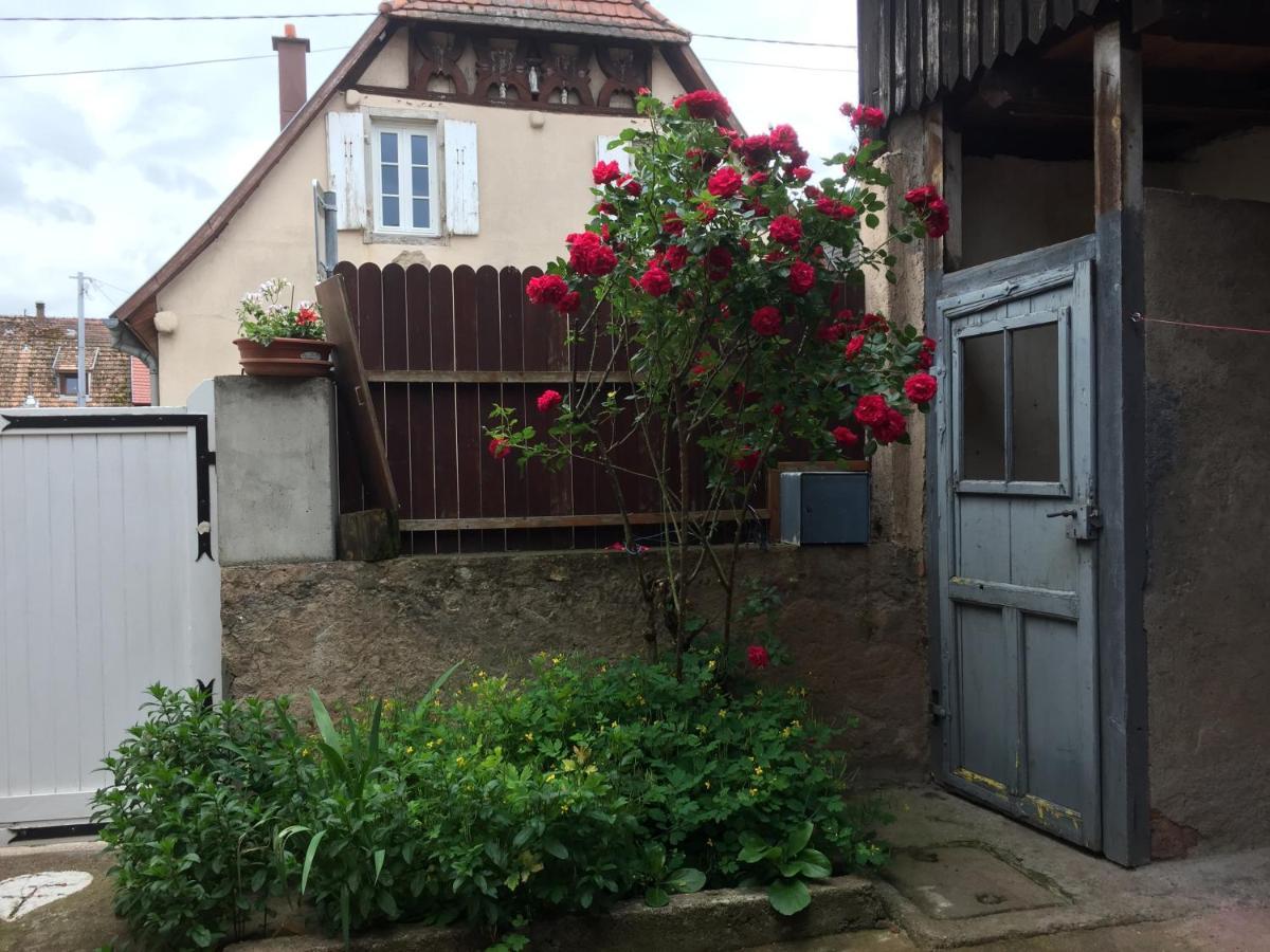 Châtenois Appartement Spacieux Dans Joli Village Alsacien מראה חיצוני תמונה